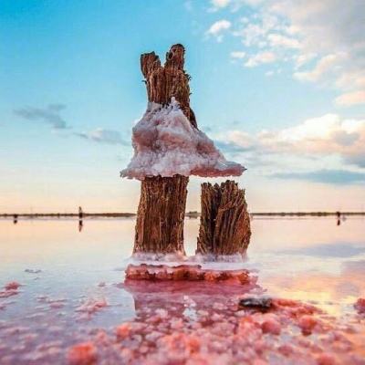 萌幻西游手游官方版下载