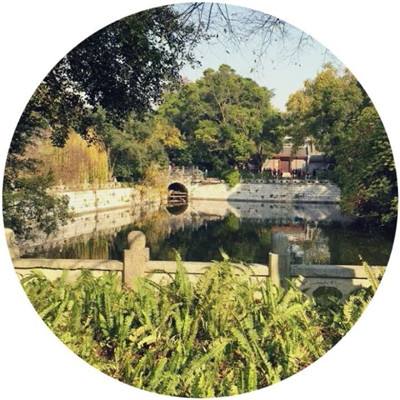 爱养成2无限金币修改版下载